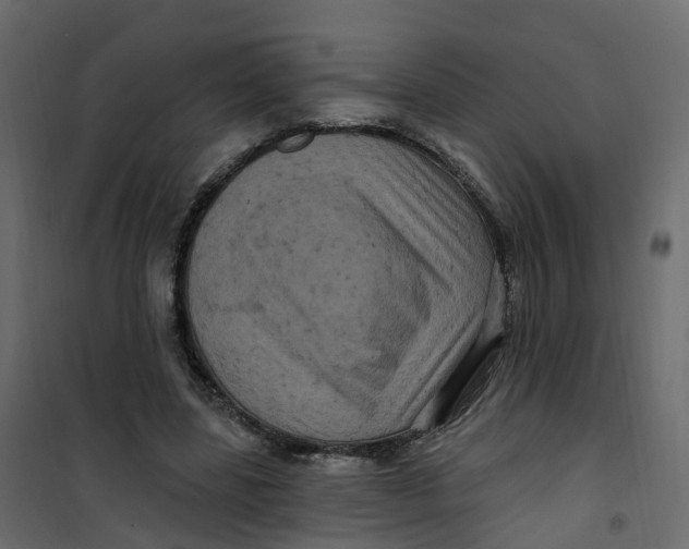 X0000101090539200807171850