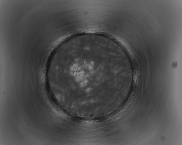 X0000101090540200807171850