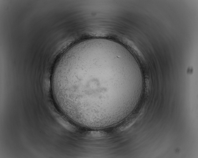 X0000101090541200807171850