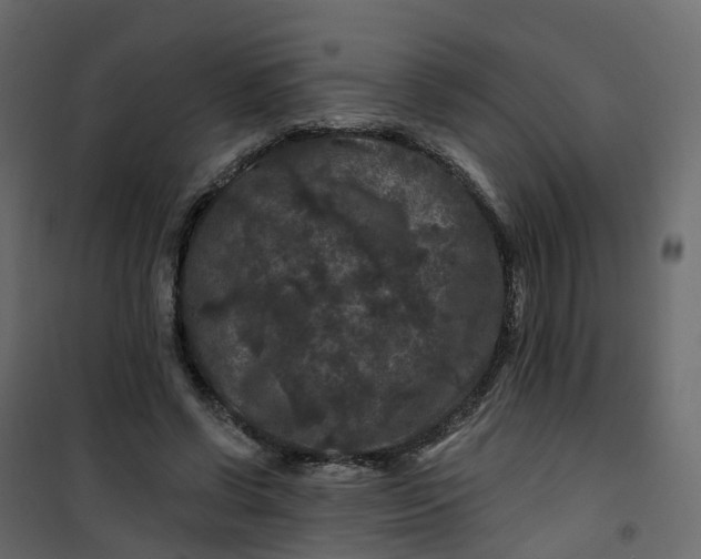 X0000101090542200807171850