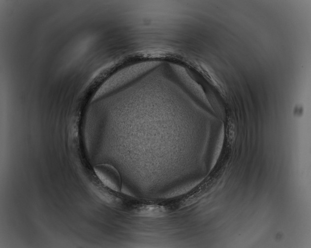 X0000101090543200807171850