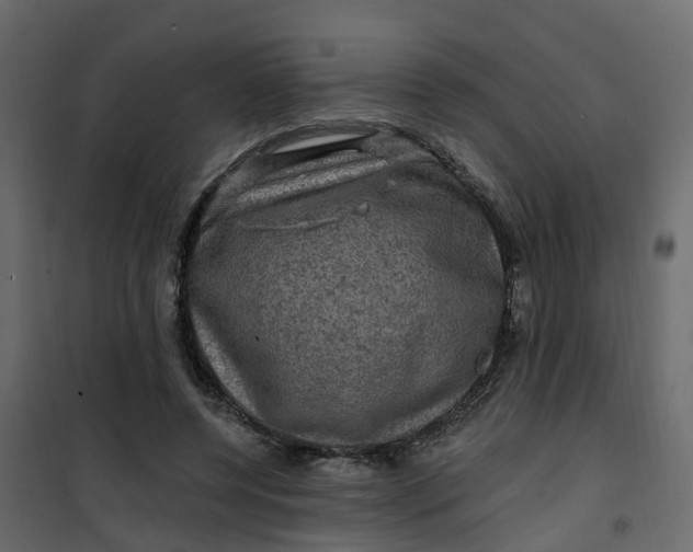 X0000101090544200807171850