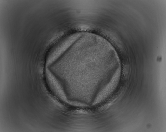 X0000101090545200807171850