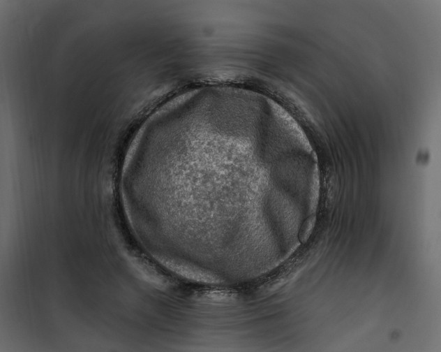 X0000101090546200807171851