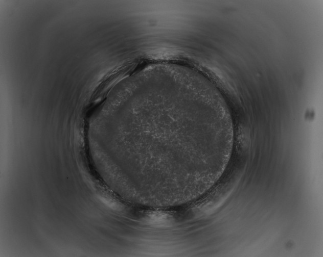 X0000101090547200807171851