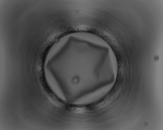 X0000101090548200807171851