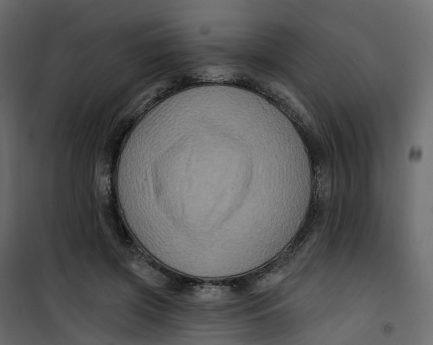 X0000101090549200807171851