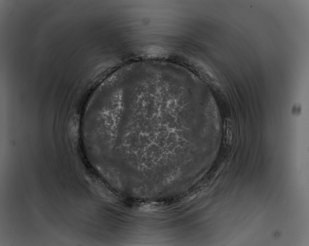 X0000101090550200807171851