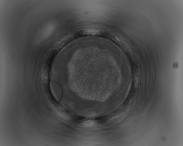 X0000101090551200807171851