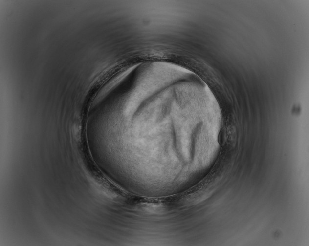 X0000101090552200807171851