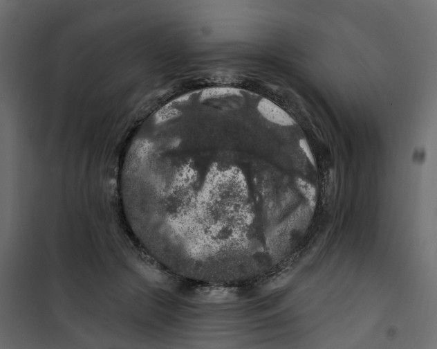 X0000101090553200807171851