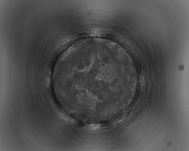 X0000101090554200807171851