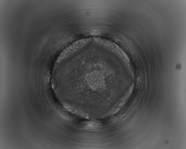 X0000101090555200807171851