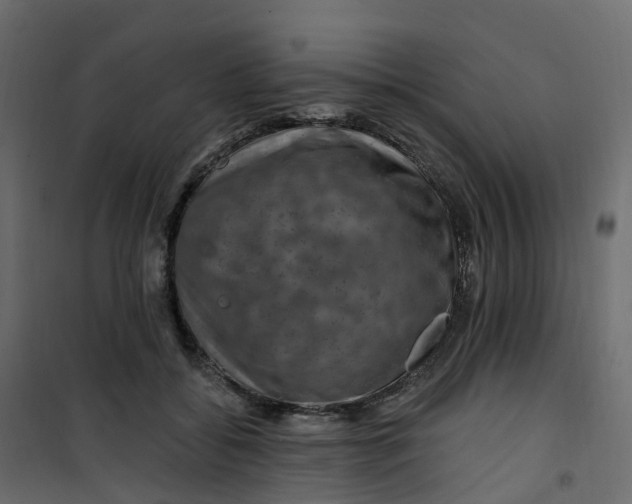 X0000101090556200807171851