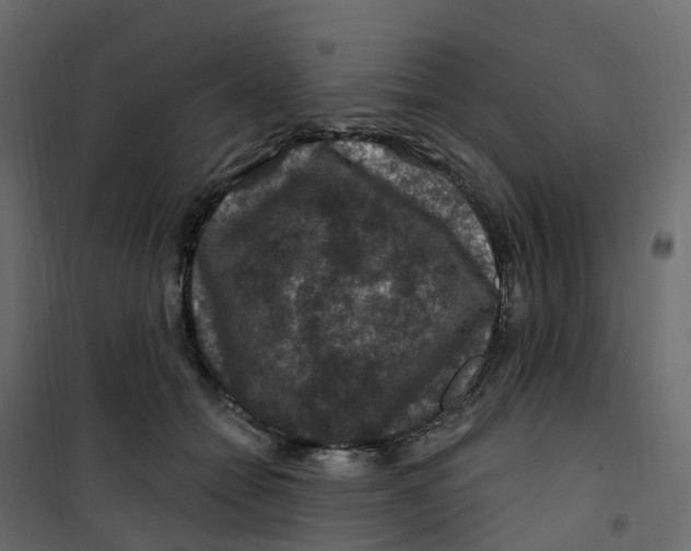 X0000101090558200807171851