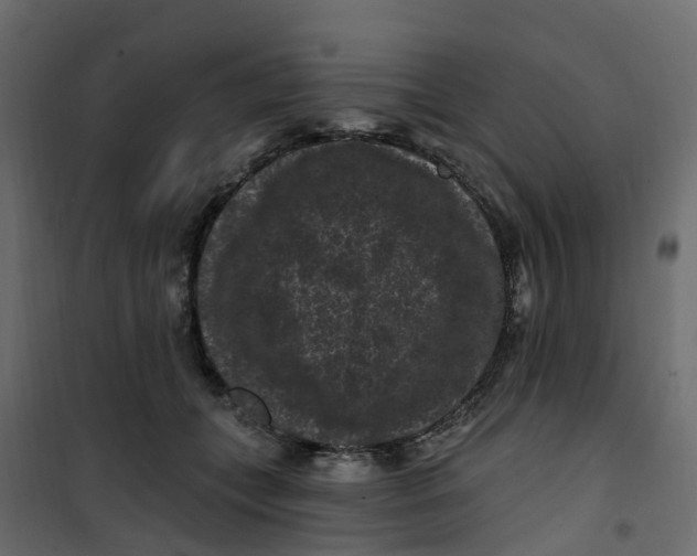 X0000101090559200807171851