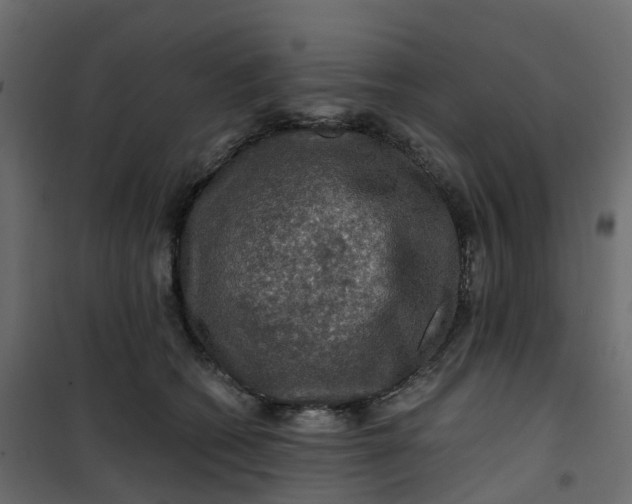 X0000101090562200807171851