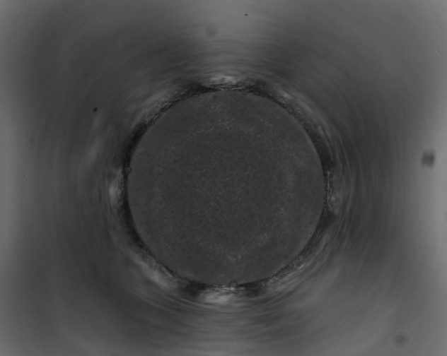 X0000101090563200807171851