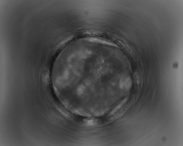 X0000101090564200807171851