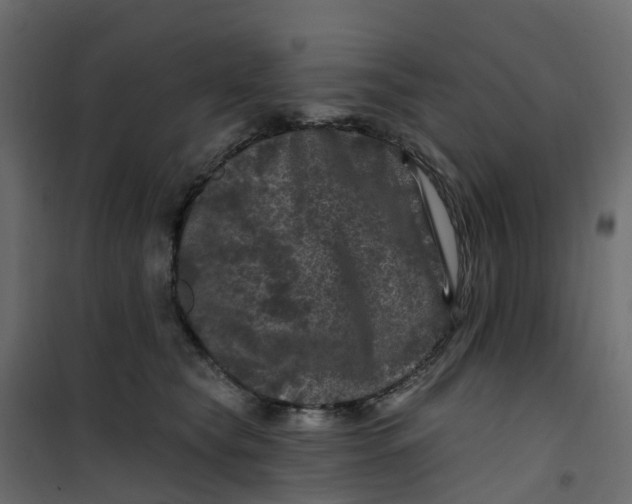 X0000101090565200807171851