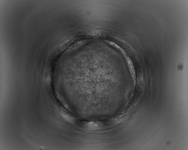 X0000101090566200807171851