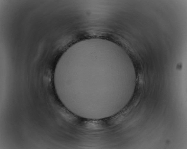 X0000101090567200807171851