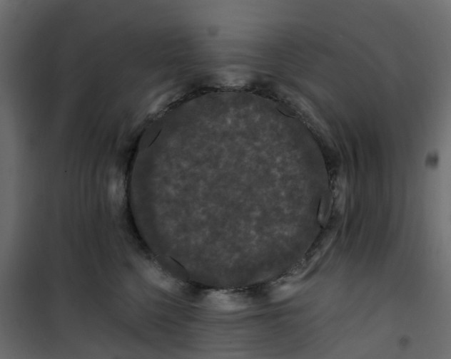 X0000101090568200807171851