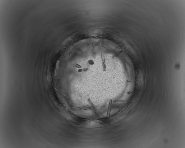 X0000101090569200807171851