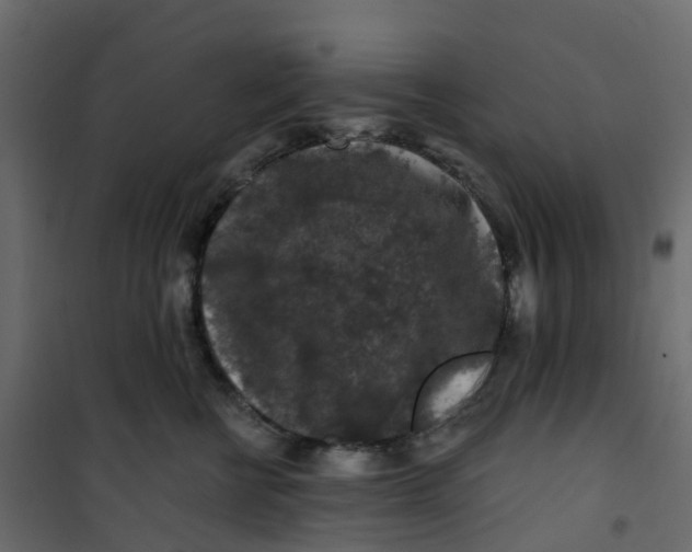 X0000101090570200807171851