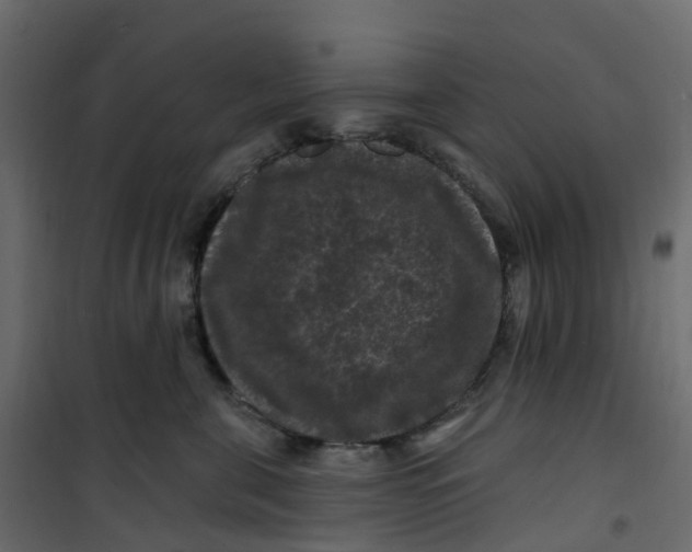 X0000101090571200807171851