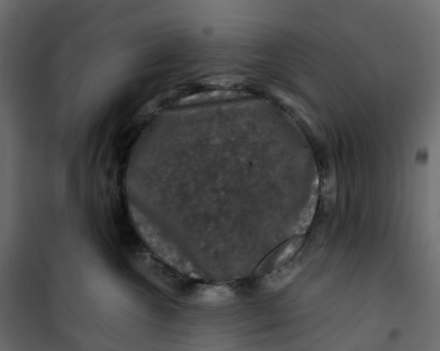 X0000101090572200807171851