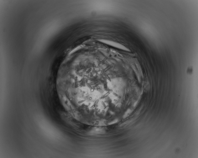 X0000101090573200807171851