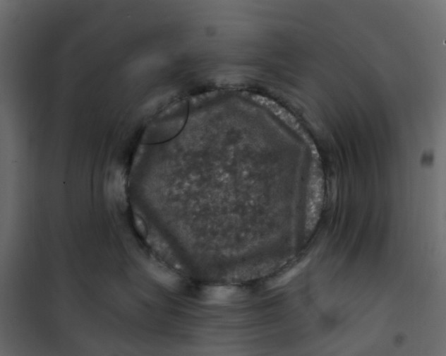 X0000101090575200807171851