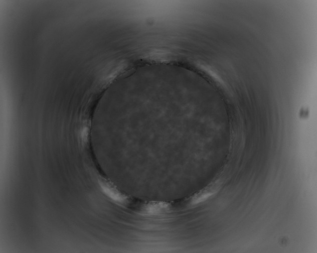 X0000101090576200807171851