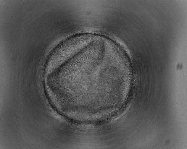 X0000101090577200807171850