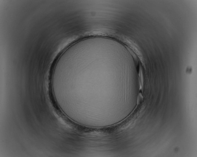 X0000101090578200807171850