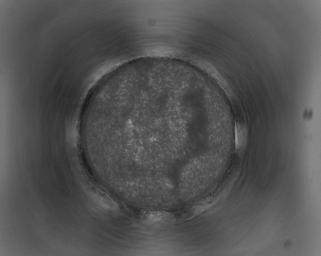 X0000101090579200807171850