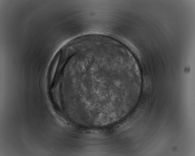 X0000101090580200807171850