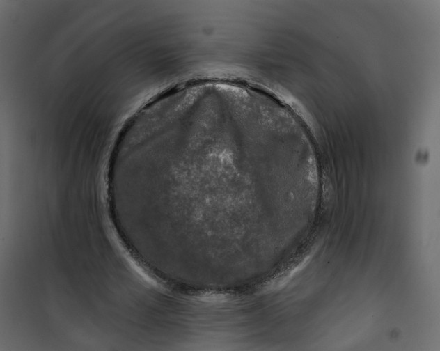 X0000101090581200807171850