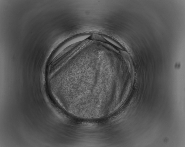 X0000101090582200807171850