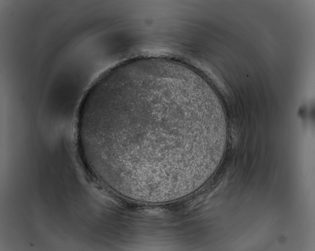 X0000101090583200807171850