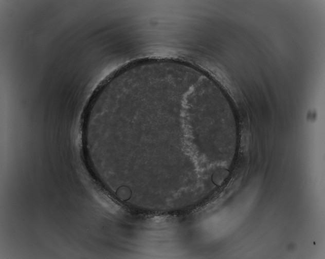 X0000101090584200807171850