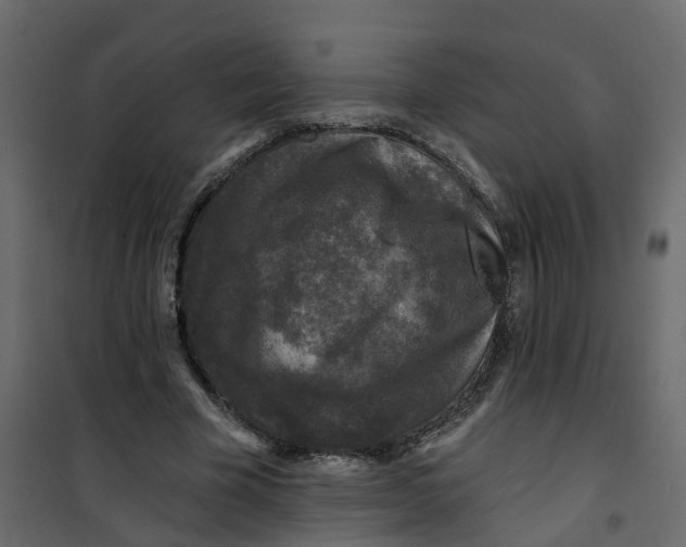 X0000101090585200807171850