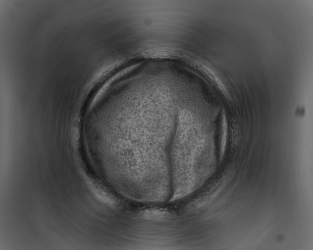 X0000101090586200807171850