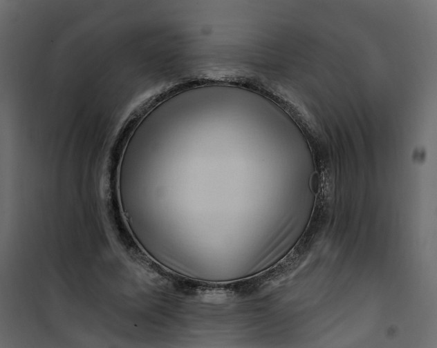 X0000101090587200807171850