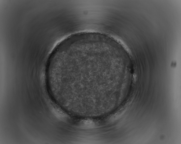 X0000101090588200807171850