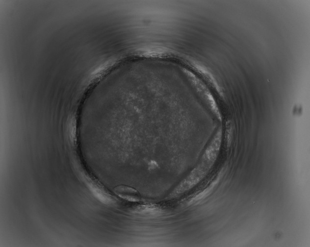 X0000101090589200807171850