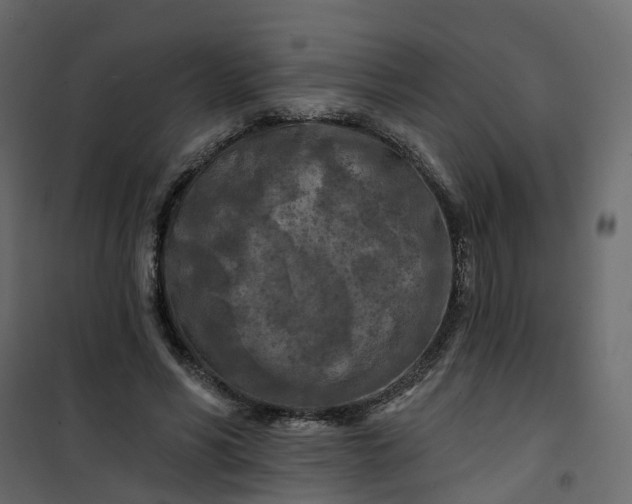 X0000101090590200807171850