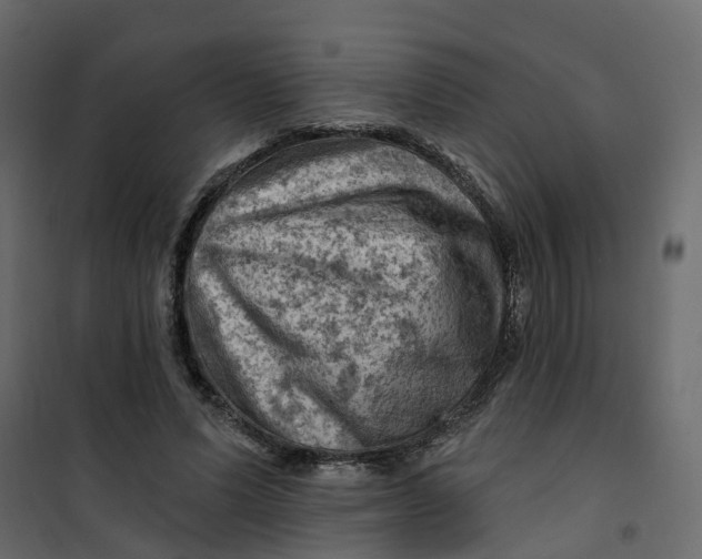 X0000101090591200807171850