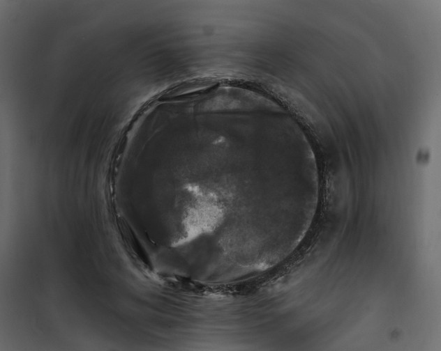 X0000101090592200807171850